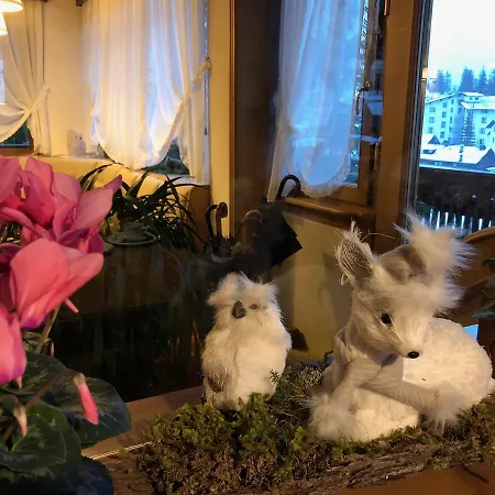 Nevada 코르티나 담페조