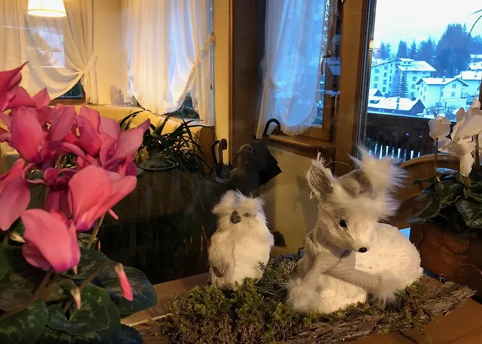 Nevada Cortina d'Ampezzo