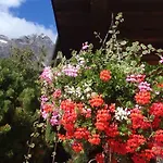 Nevada Hotel 3*